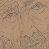GINO COVILI - Escluso, 1973/77